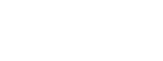 Logo Viva braslav